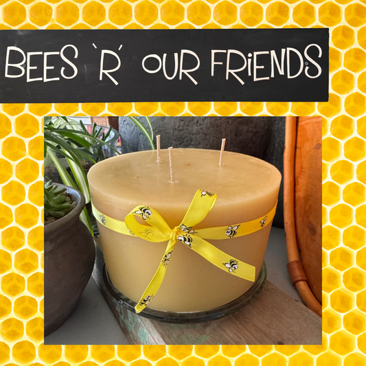 Buzzworthy Wonders